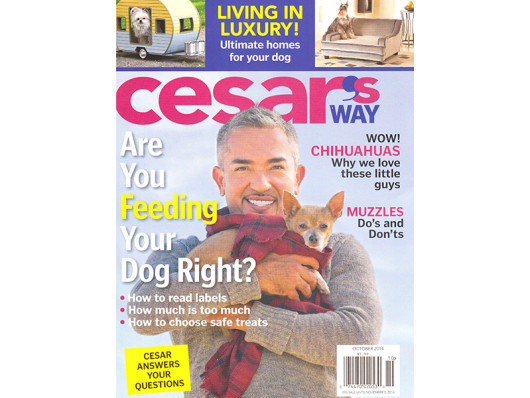 Cesars Way Magazine October 2014 Funny Pencil Dog Toy