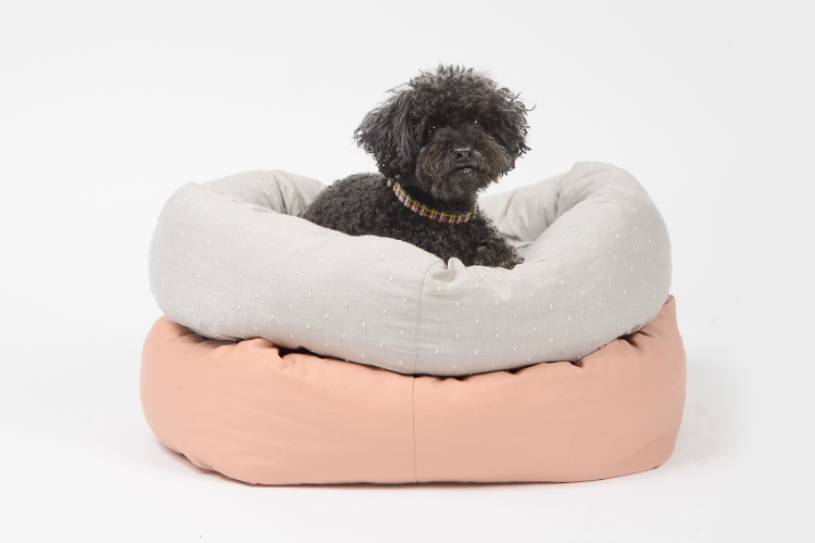 Designer Dog Bed