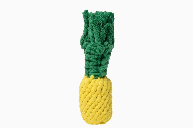 Waggo Pineapple Dog Rope Toy